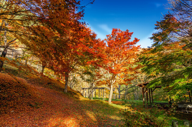 長野県辰野町