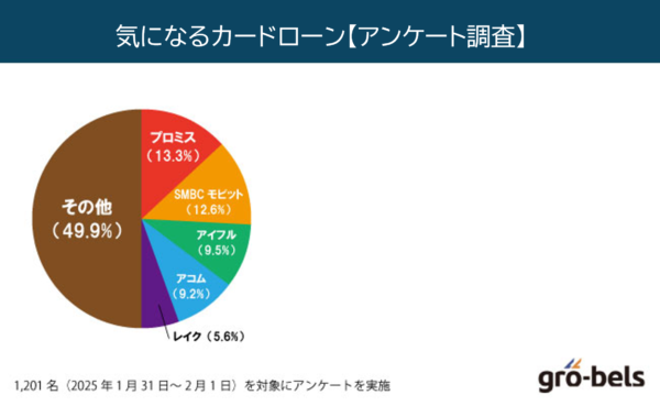 【アンケート調査】気になるカードローン