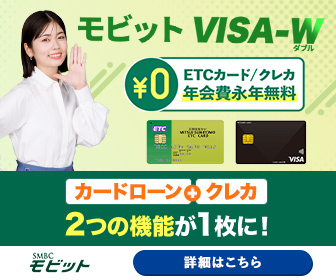 モビット VISA-W