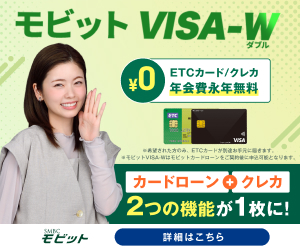 モビットVISA-W