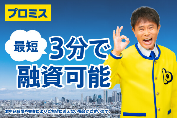 消費者金融系ローン(フリーローン)│プロミス