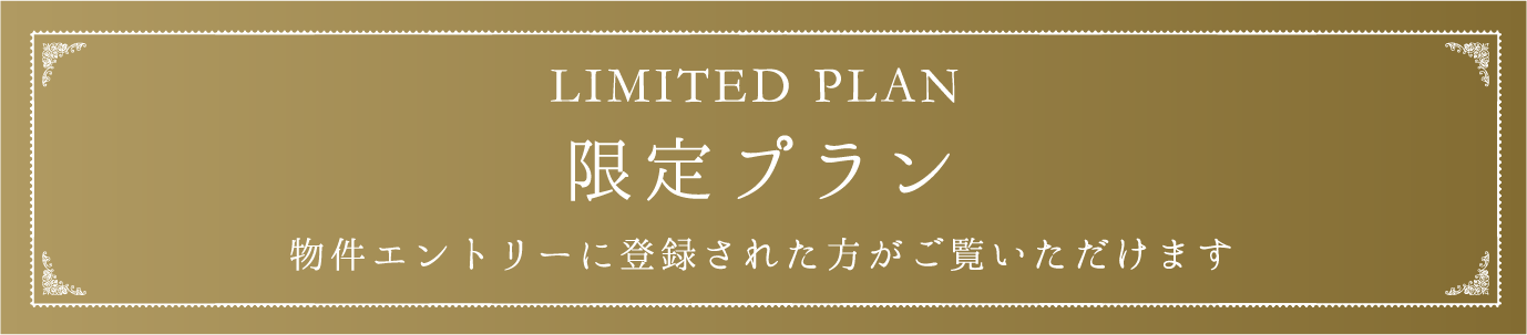 限定プラン