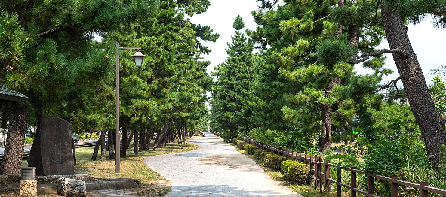 草加松原遊歩道（徒歩13分／約1,020m）