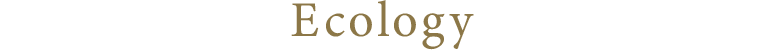 Ecology