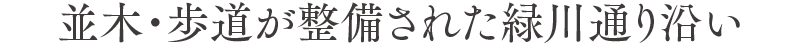 並木・歩道が整備された緑川通り沿い