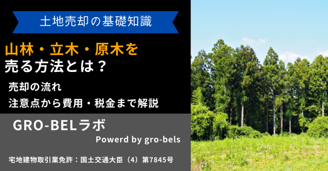 山林・立木・原木を売る方法とは？売却の流れ・注意点から費用・税金 