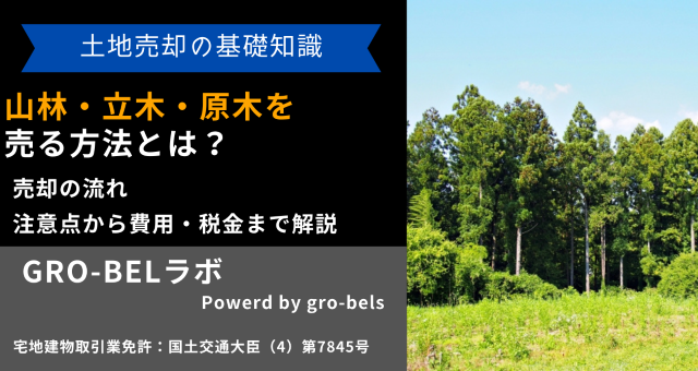 山林・立木・原木を売る方法とは？売却の流れ・注意点から費用・税金まで解説｜GRO-BELラボ[株式会社グローベルス]