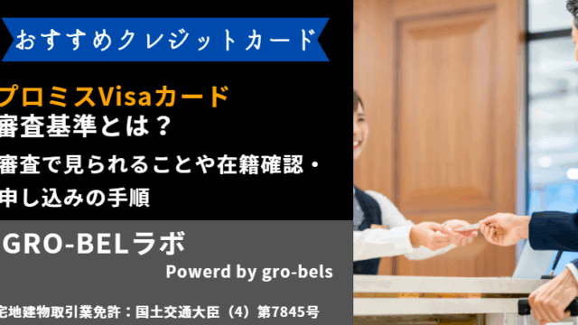 プロミスVisaカード 審査